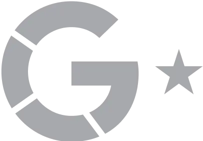 icon google review